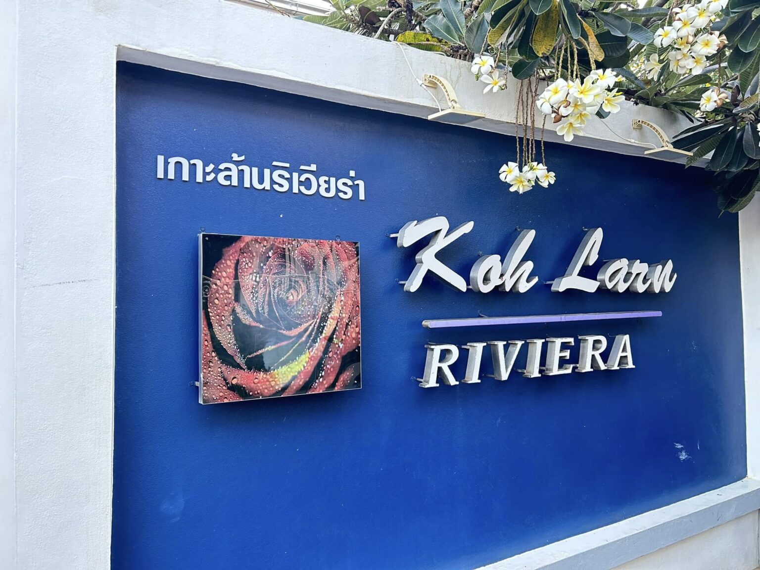 Wi-Fi 6 ทั้งรีสอร์ท เกาะล้านริเวียร่า รีสอร์ท 3